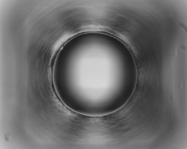 X0000102821472200808181235