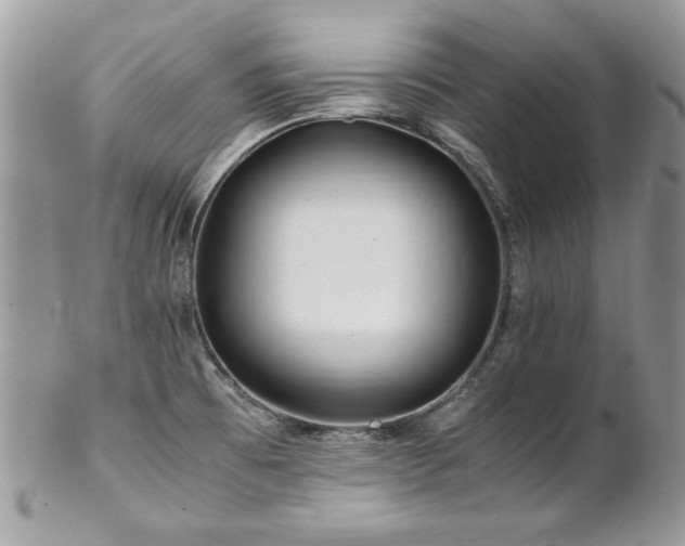 X0000102821473200808181235