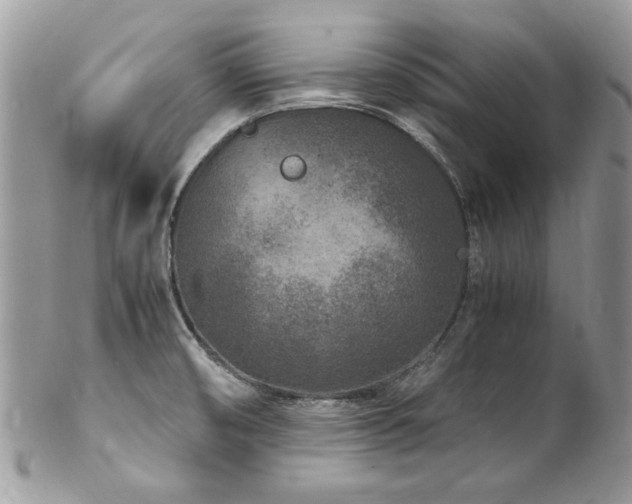 X0000102821474200808181235