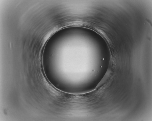 X0000102821475200808181235