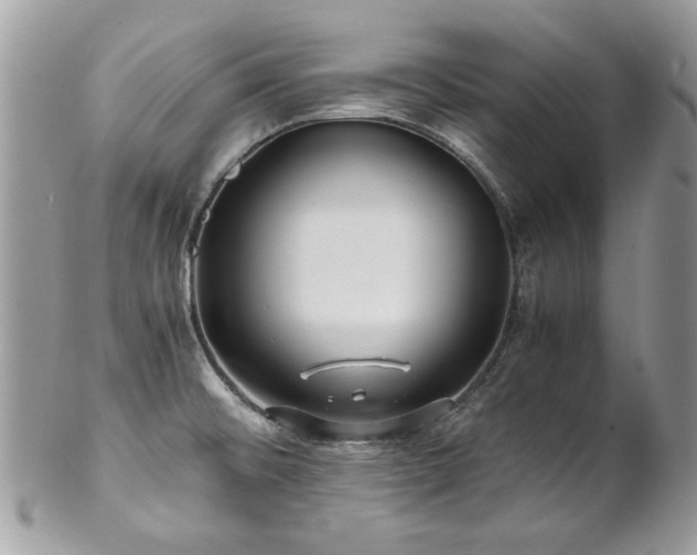 X0000102821476200808181235