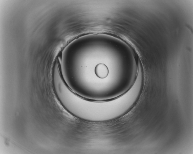 X0000102821477200808181235