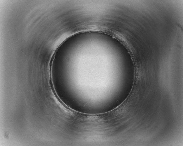 X0000102821479200808181235