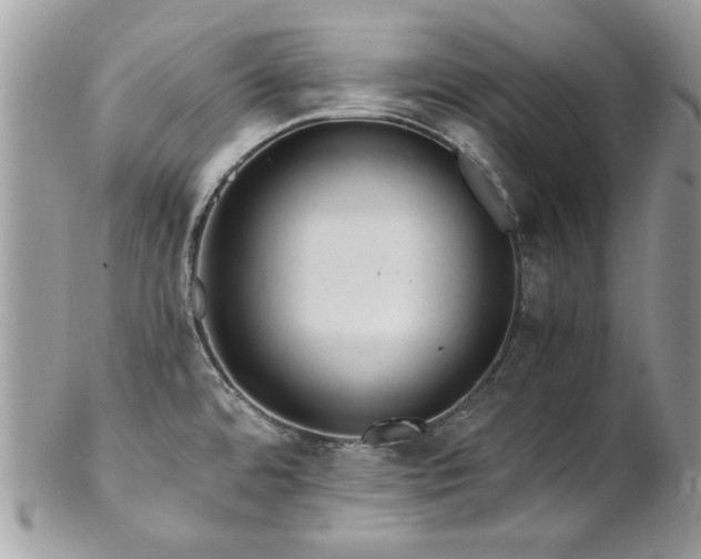 X0000102821480200808181235