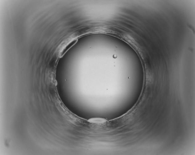 X0000102821481200808181235
