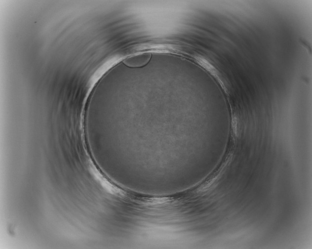 X0000102821482200808181235
