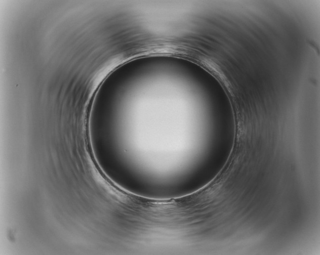 X0000102821483200808181235