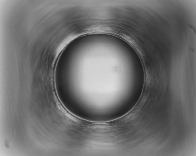 X0000102821486200808181234