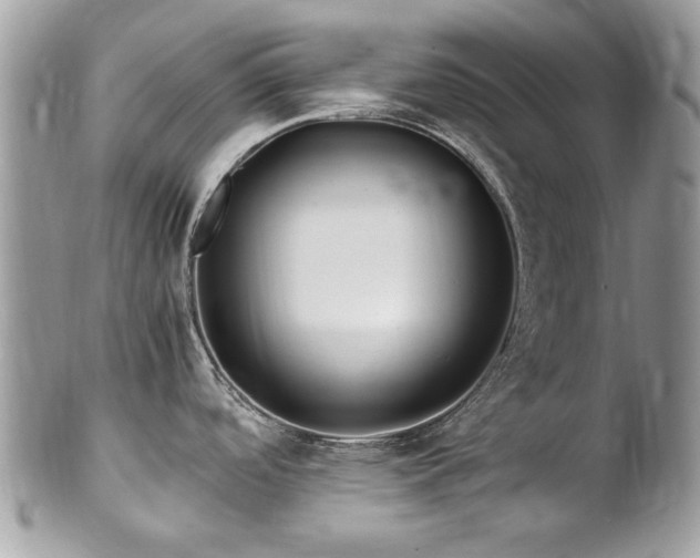X0000102821488200808181234