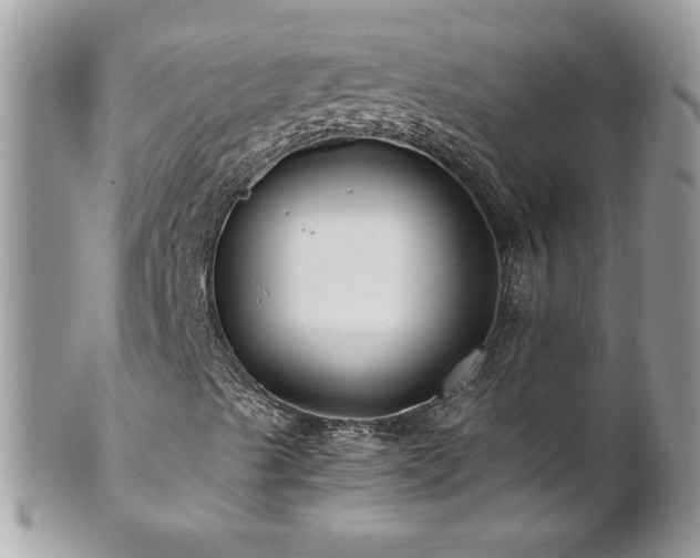 X0000102821489200808181234
