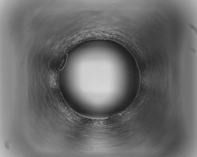 X0000102821490200808181234