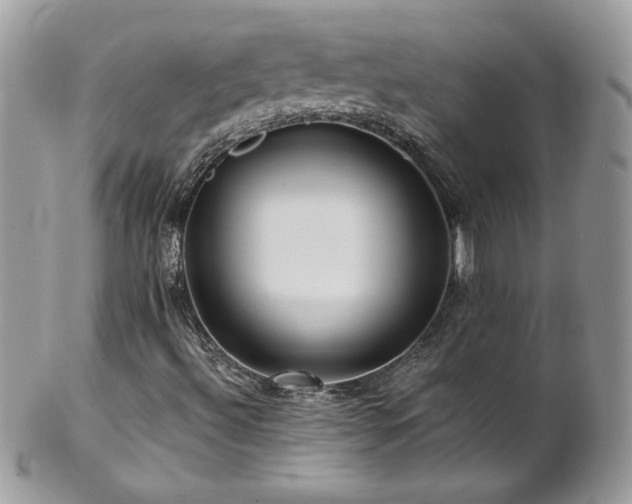 X0000102821492200808181234