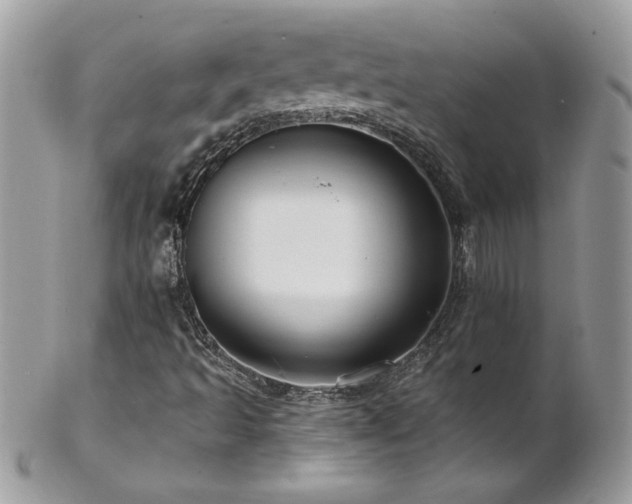 X0000102821493200808181234