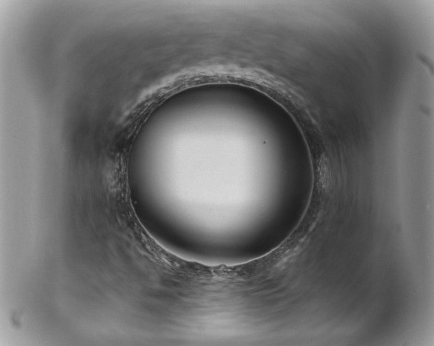 X0000102821494200808181234