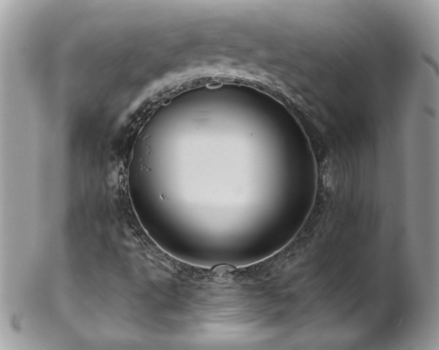 X0000102821495200808181234