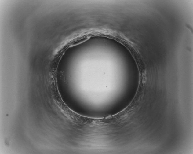 X0000102821496200808181234