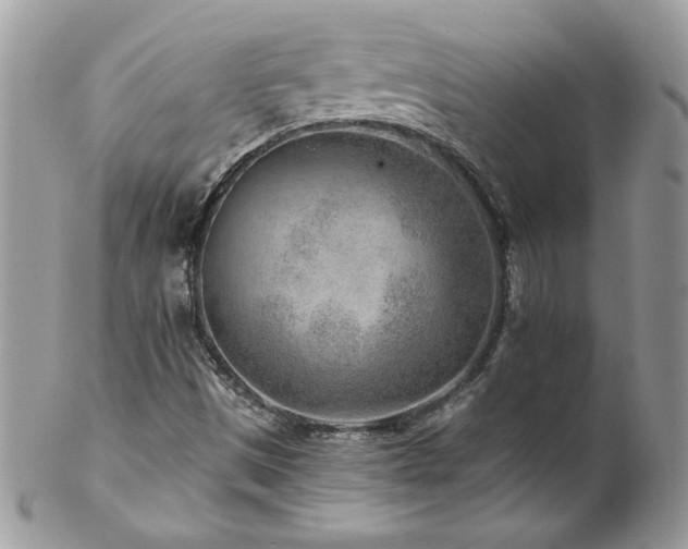 X0000102821497200808181234