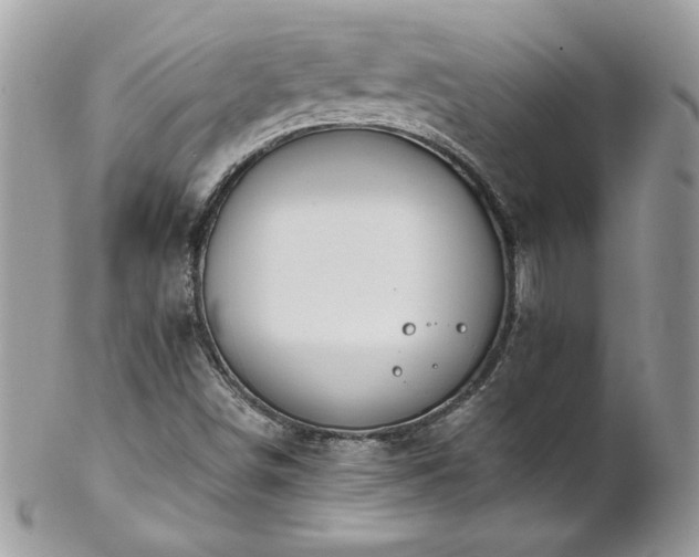X0000102821498200808181234