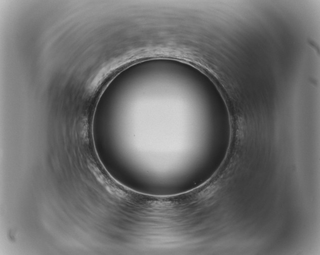 X0000102821499200808181234