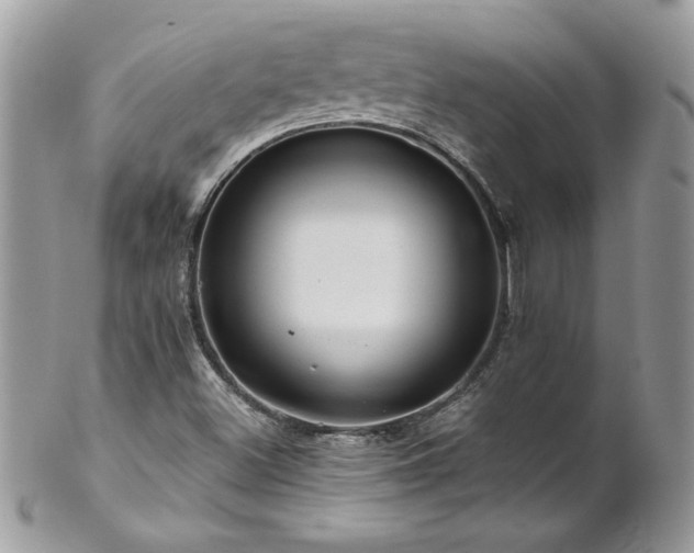 X0000102821500200808181234