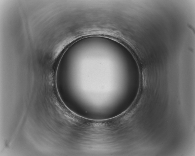 X0000102821501200808181234