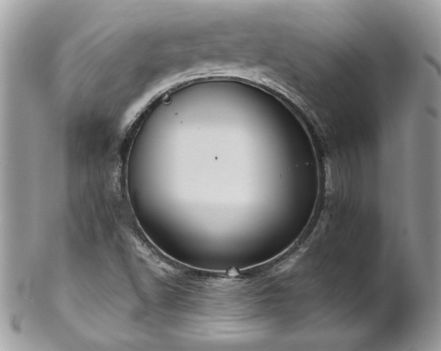 X0000102821502200808181234