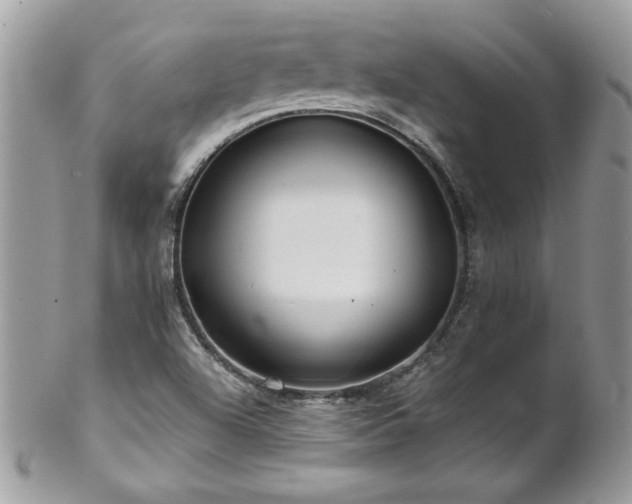 X0000102821504200808181234