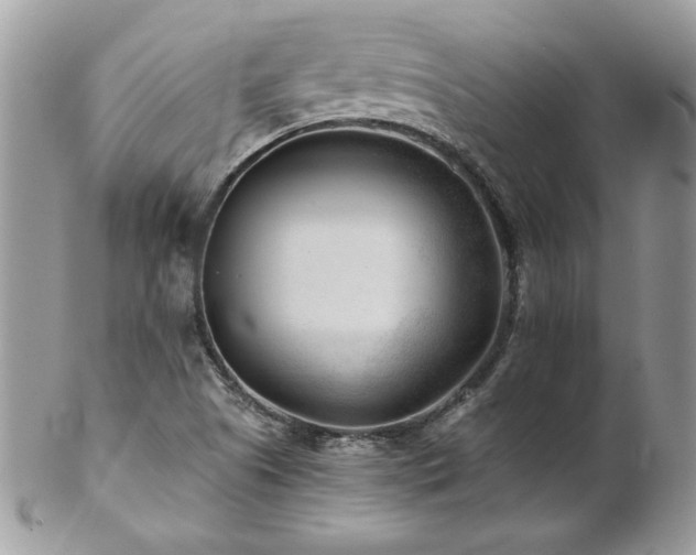 X0000102821505200808181234