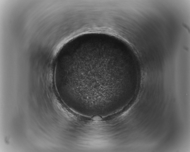 X0000102821506200808181234