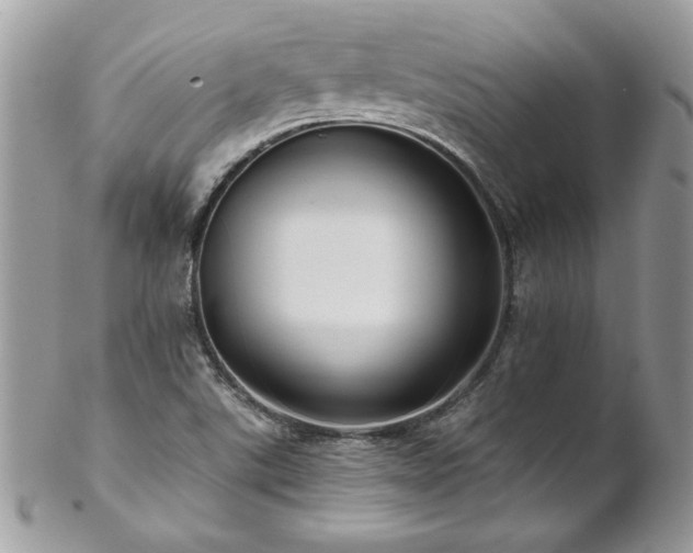 X0000102821507200808181234