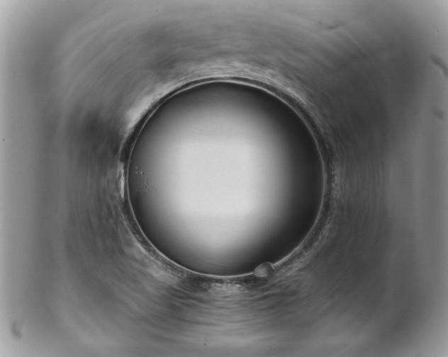 X0000102821509200808181234