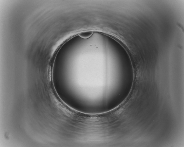 X0000102821510200808181234