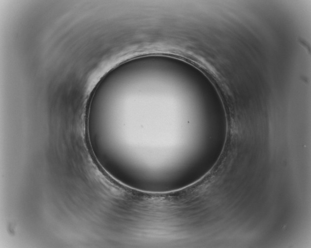 X0000102821512200808181234