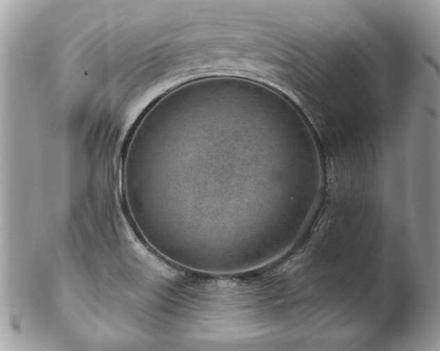 X0000102821515200808181234