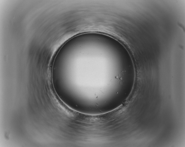 X0000102821517200808181234