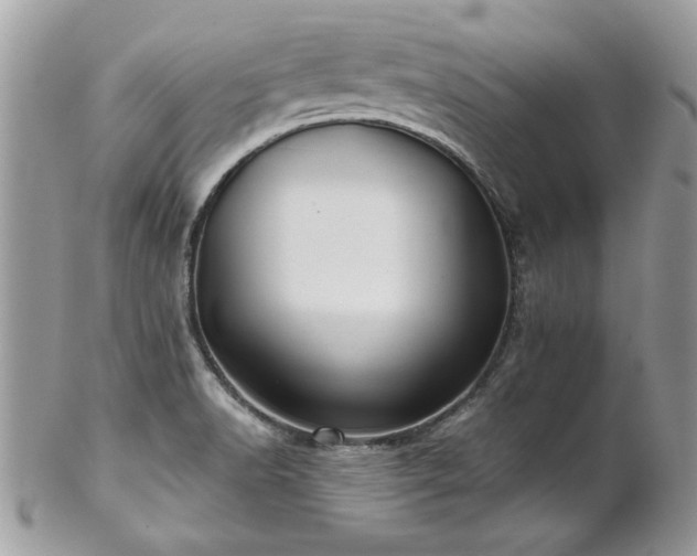 X0000102821518200808181234