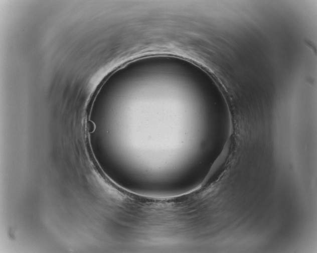 X0000102821519200808181234
