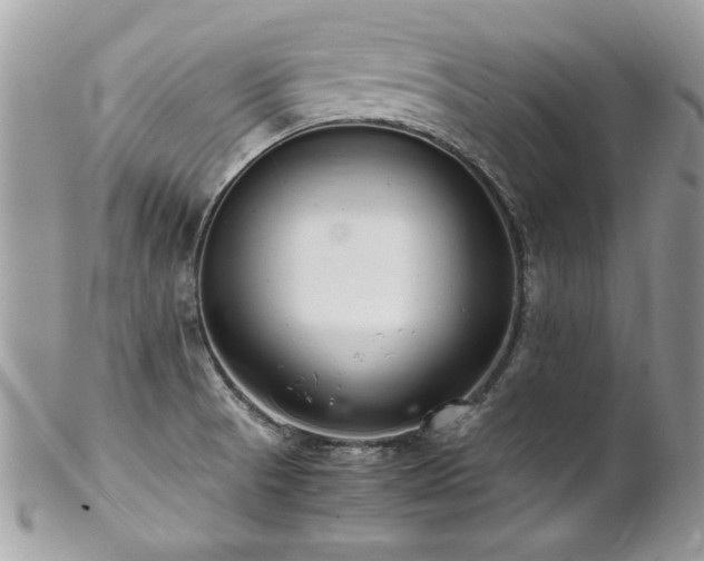 X0000102821521200808181234