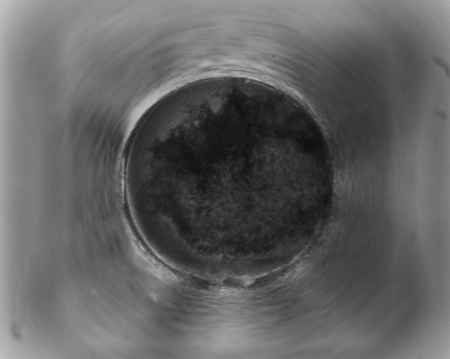 X0000102821522200808181234