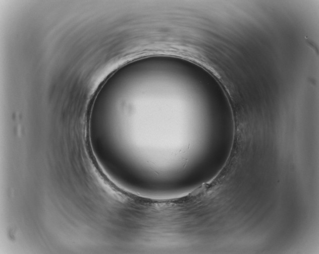 X0000102821523200808181234