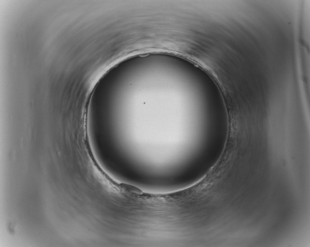 X0000102821524200808181234