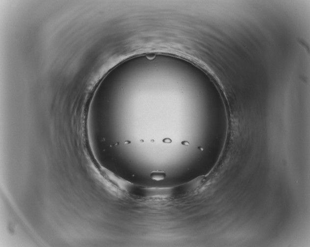 X0000102821525200808181234
