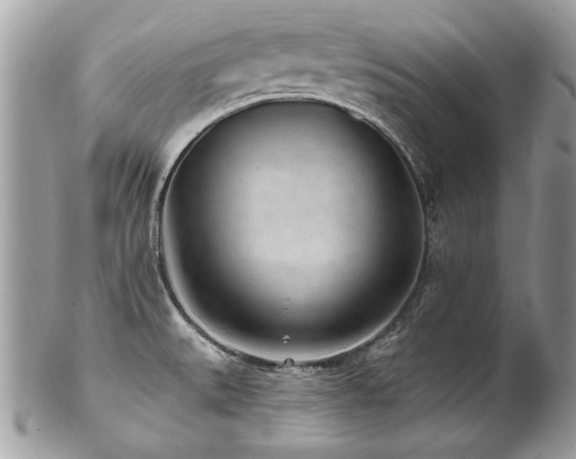 X0000102821527200808181234