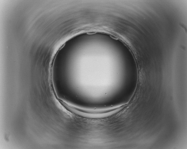 X0000102821528200808181234