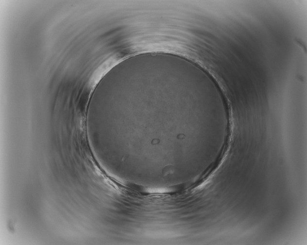 X0000102821529200808181234