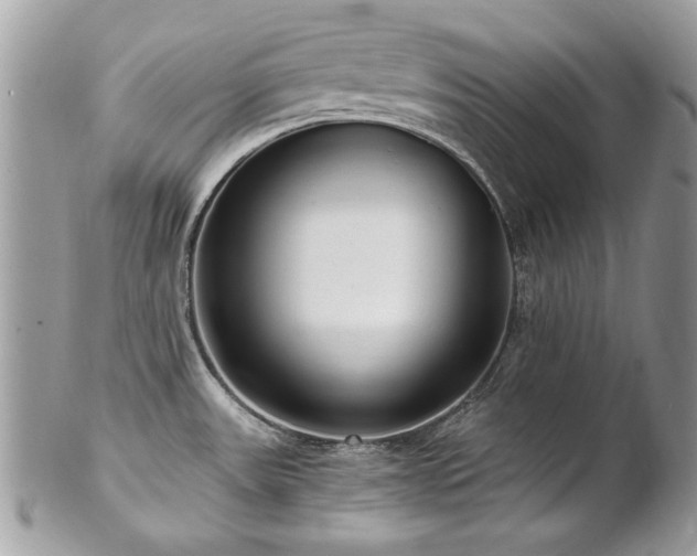 X0000102821531200808181234