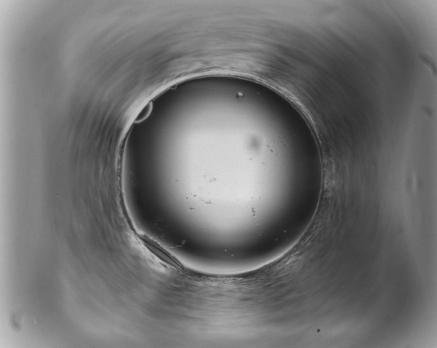 X0000102821532200808181234