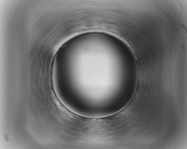 X0000102821534200808181234