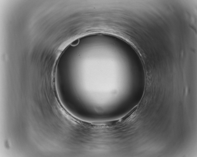 X0000102821535200808181234