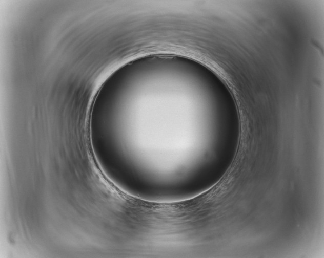 X0000102821536200808181234
